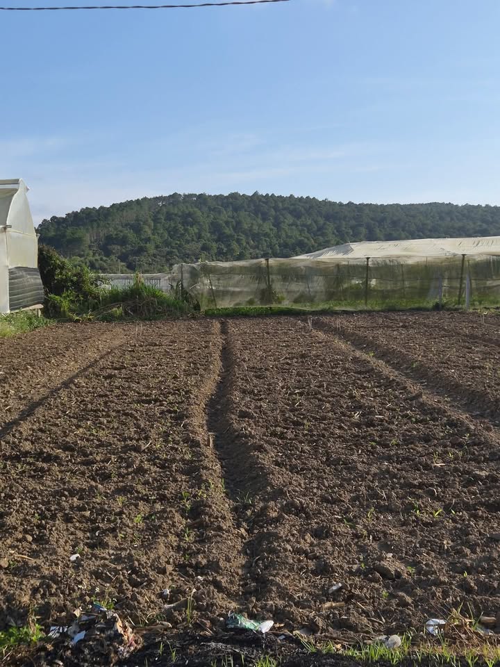 Đất nền Nghĩa Hội - Thạnh Mỹ 72m² giá 760 triệu - Khu dân cư yên tĩnh!