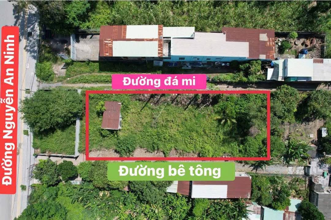 Đất nền đường Nguyễn An Ninh Bà Rịa 96m² giá 1.35 tỷ - Sổ hồng chính chủ!