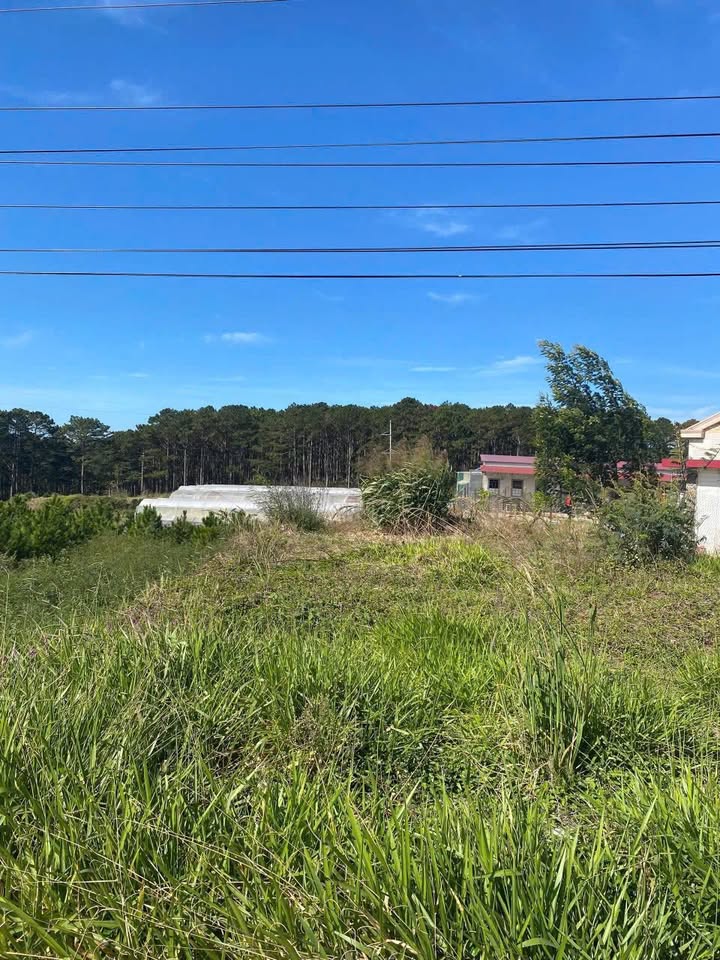 Đất thổ cư 2553m² mặt tiền Quốc lộ 20, Phường Xuân Trường, Đà Lạt - Giá 33 tỷ, đầu tư lý tưởng!