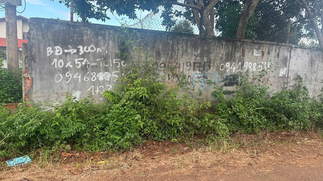 Đất nền liền kề N5 Tân An 60m² giá từ 1.65 tỷ - Cơ hội đầu tư sinh lời!