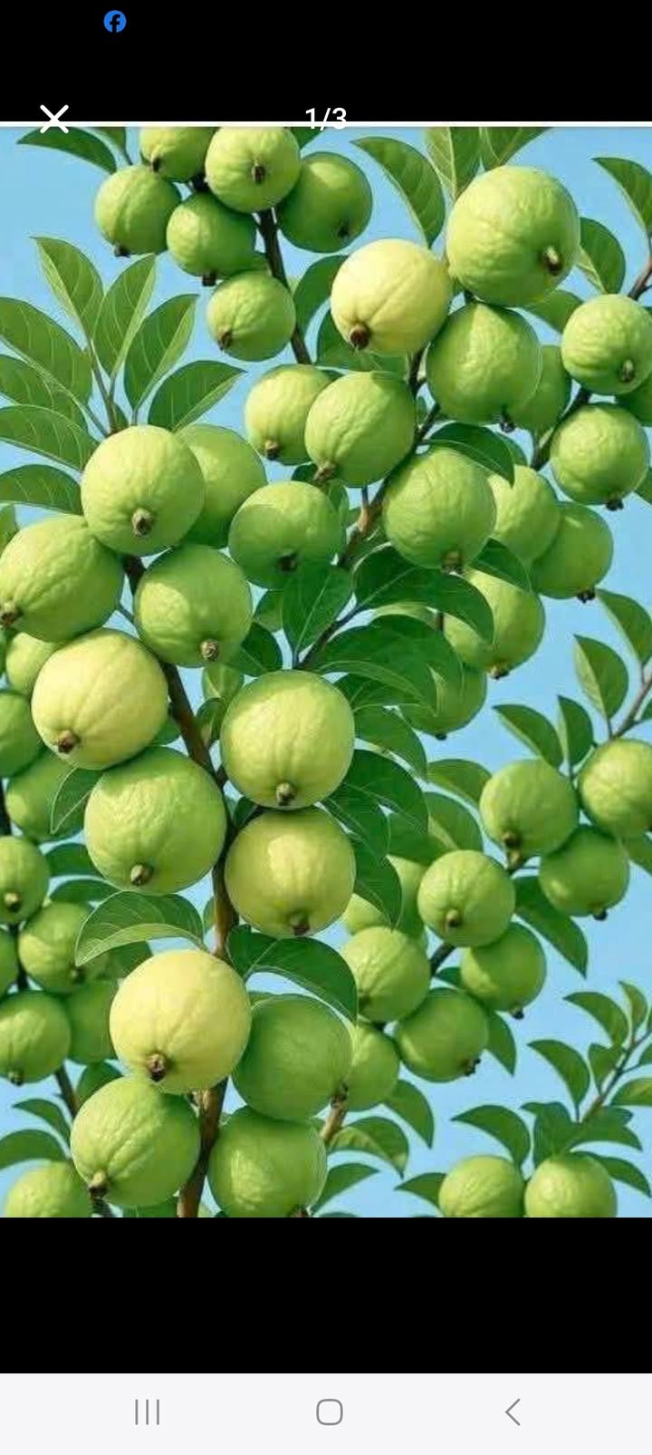 Đất thổ cư 135m² tại khu phố 2, Trảng Dài, Biên Hòa - Giá 2.05 tỷ, bớt lộc