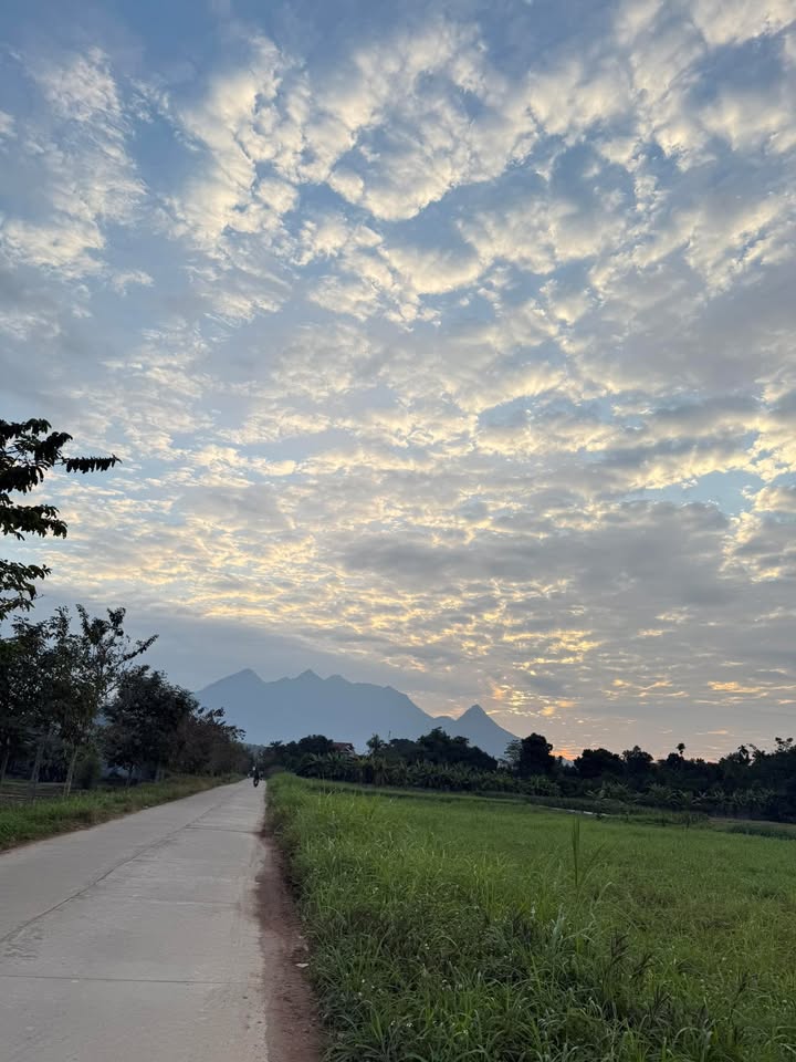 Đất nền xã Tu Vũ, huyện Thanh Thủy, 180m² giá 1,8 tỷ - Tiềm năng nghỉ dưỡng tuyệt vời!