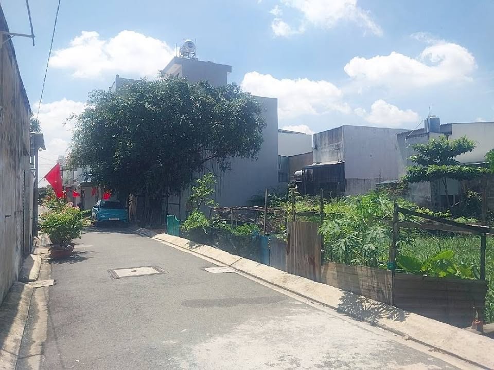 Đất phân lô Bình Tân 282m² giá 10.5 tỷ - Nở hậu, xây dựng tự do!