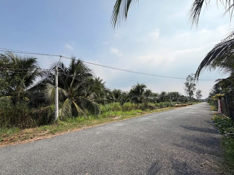 Đất mặt tiền xã Phú Thuận, Bình Đại 1400m² giá 4.2 tỷ - Cơ hội đầu tư tuyệt vời!