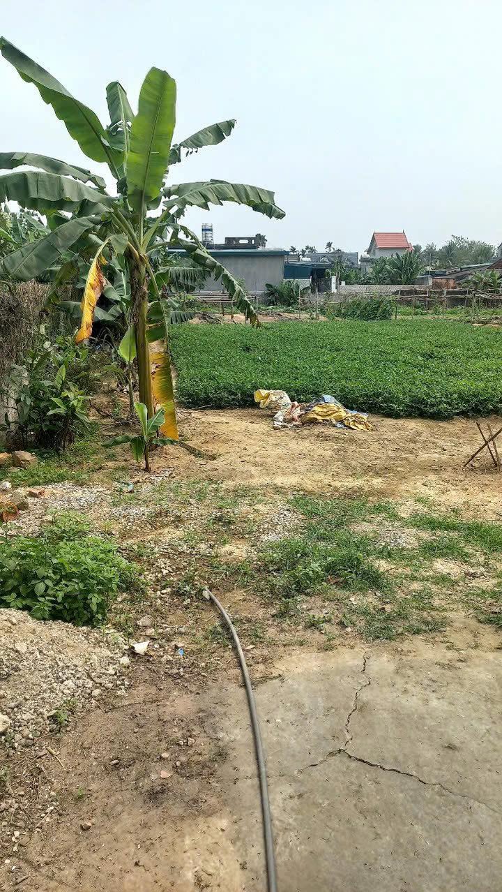 Đất nền Quảng Trạch 324m² giá thỏa thuận - Đầu tư sinh lời ngay!