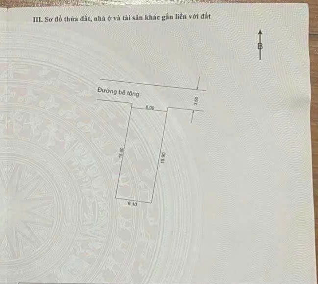 Lô đất biệt thự Quan Châu, Hòa Xuân 100m² giá 2,55 tỷ - Mặt tiền rộng, đầu tư sinh lời!