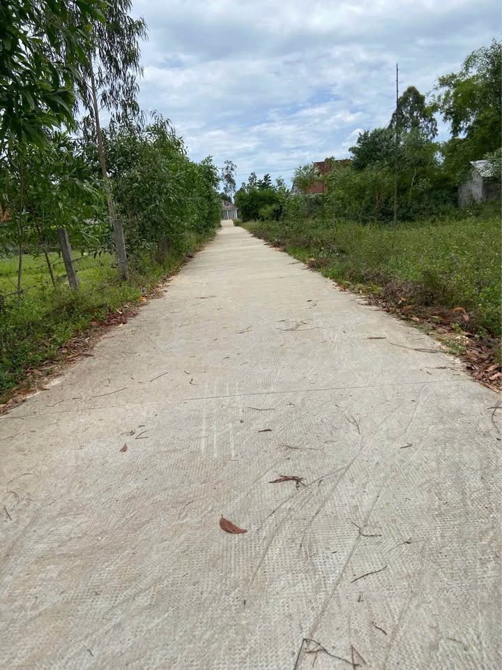 Đất 4 mặt tiền Phú Đa, 2803m² chỉ 2.x triệu/m² - Cơ hội đầu tư hấp dẫn!