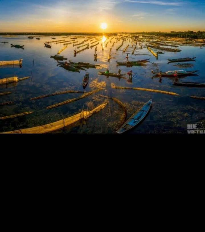 Đất thổ cư Quảng Lợi 500m² giá chỉ 1.3 tỷ - Cơ hội đầu tư tuyệt vời!