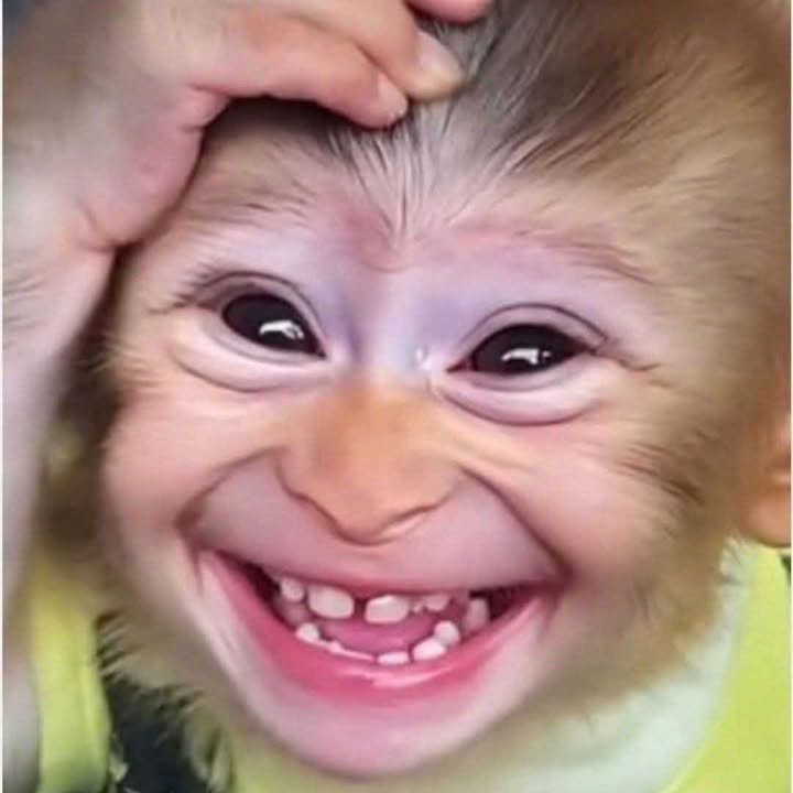 Đất nền Nhơn Mỹ An Nhơn 220m² - Đầu tư sinh lời với 2 mặt tiền!