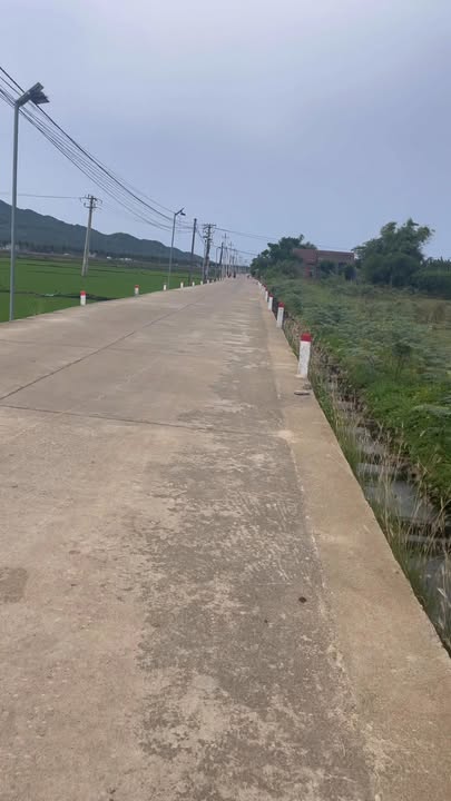 Bán lô đất Ngô Mây, Phù Cát 110m² giá 500 triệu - Hướng Tây Nam mát mẻ!