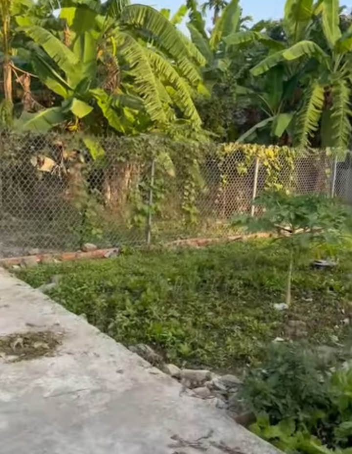 Lô đất Quỳnh Hoàng, An Dương 51.8m² giá 1.6 tỷ - Đầu tư sinh lời ngay!