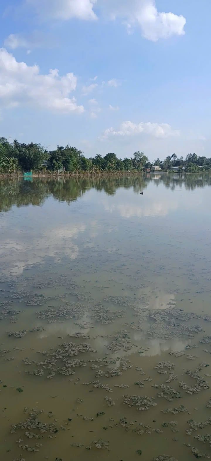 Đất nông nghiệp 30.000m² tại Phước Thới, Ô Môn - Đầu tư sinh lời bền vững!