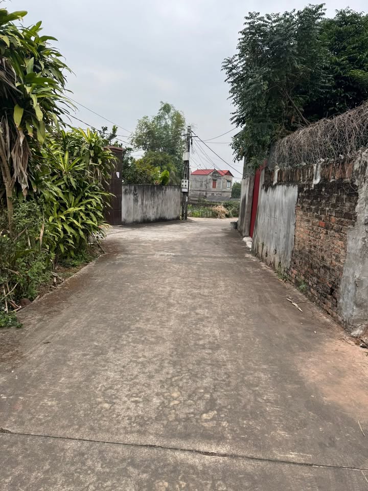 Đất nền Tân Tiến, Tân Yên 125m² - Giá thỏa thuận cực hấp dẫn!