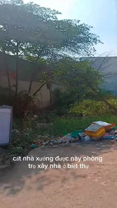 Đất Vĩnh Lộc B, Bình Chánh 264m² giá 6.5 tỷ - Đường xe công tránh