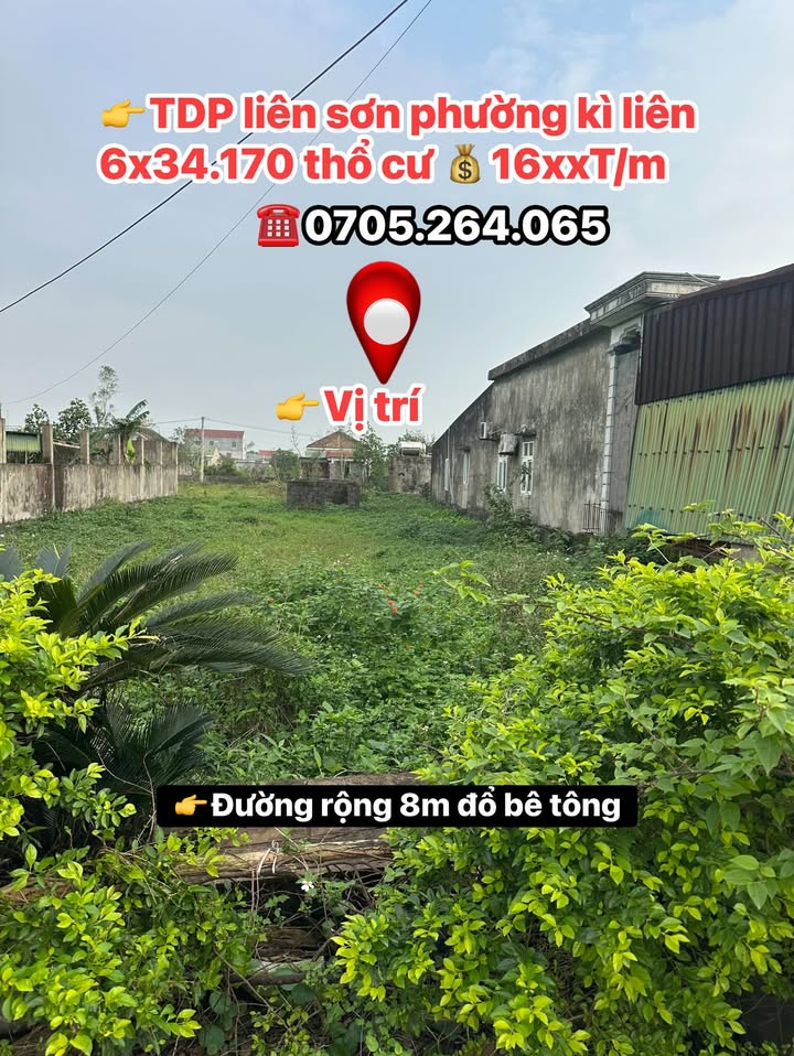 Đất nền Kỳ Liên, Kỳ Anh 204m² giá 1.6 tỷ - Cơ hội đầu tư hiếm có!