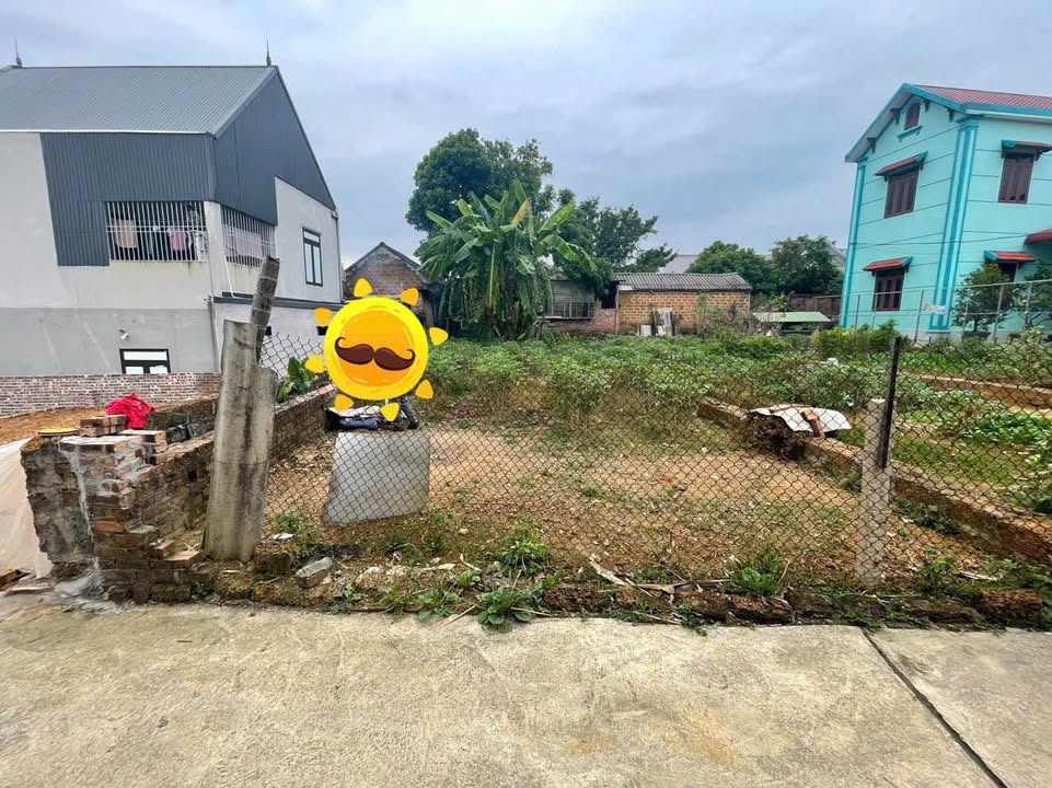 Đất thổ cư Hạ Bằng 125m² giá rẻ - Cơ hội vàng cho nhà đầu tư!