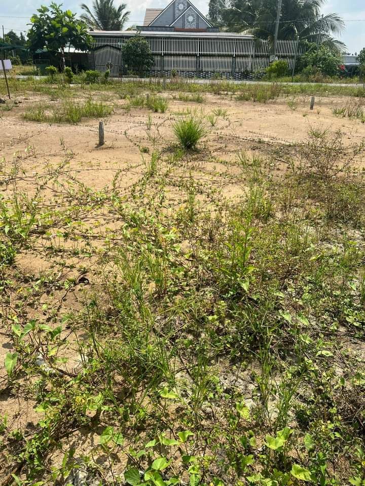 Đất nền An Phú Thuận, Châu Thành 132m² giá 579 triệu - Đầu tư kinh doanh lý tưởng!