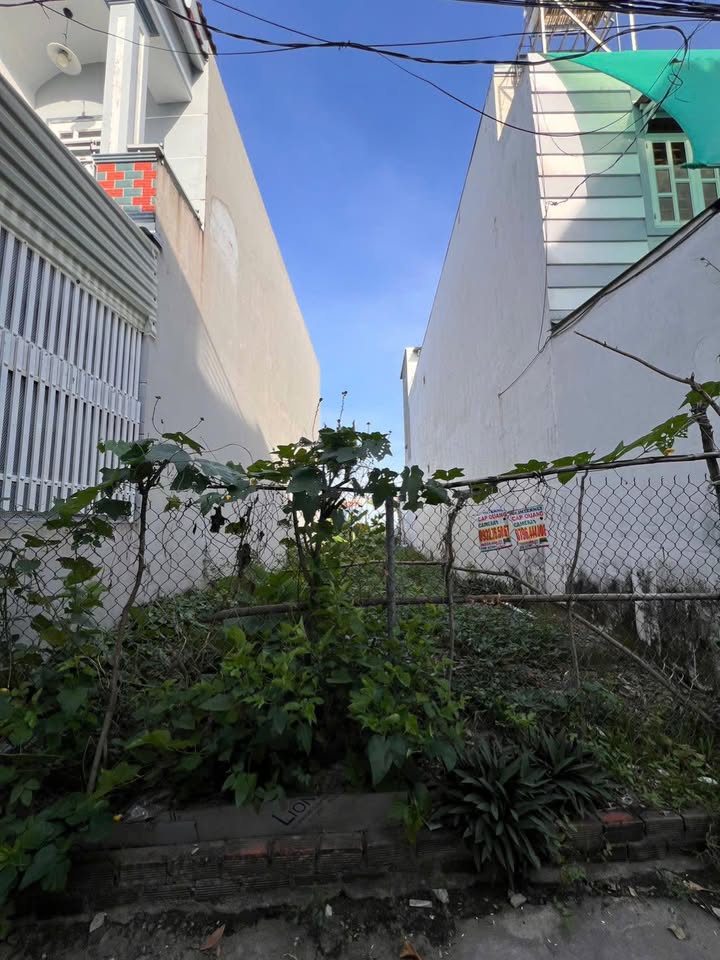 Đất thổ cư Tân Kim, Cần Giuộc 72m² giá 1.62 tỷ - Đường ô tô đỗ trước đất!