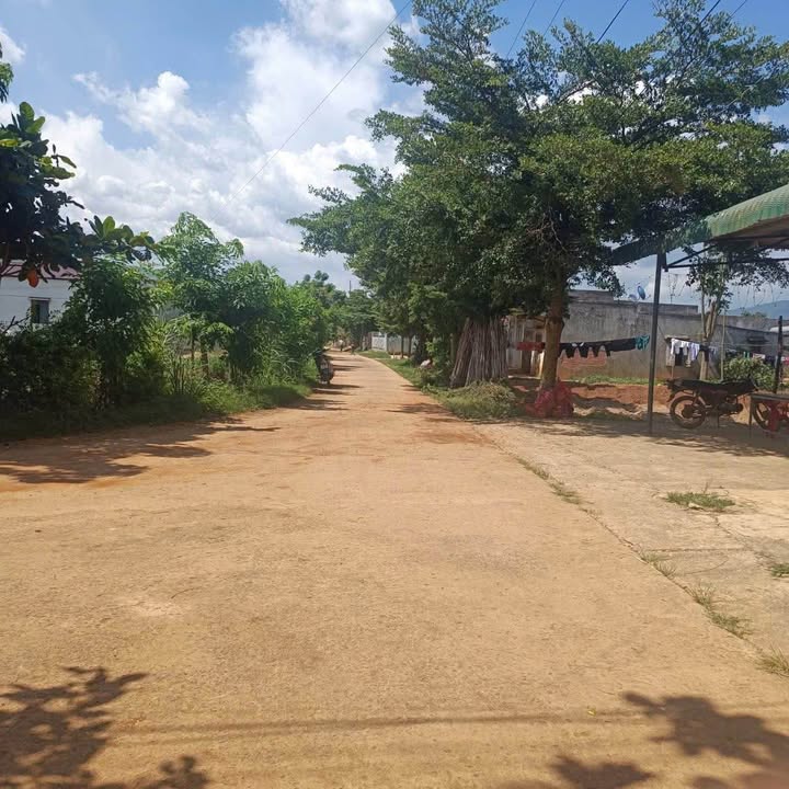 Đất thổ cư 509m² tại Taly 1, Đơn Dương chỉ 750 triệu - Sẵn sàng đầu tư!