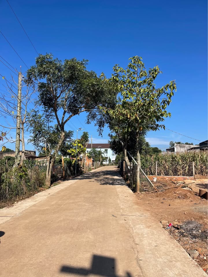 Đất nền N'Thol Hạ, Đức Trọng 990m² giá 1.2 tỷ - Cơ hội đầu tư hấp dẫn!