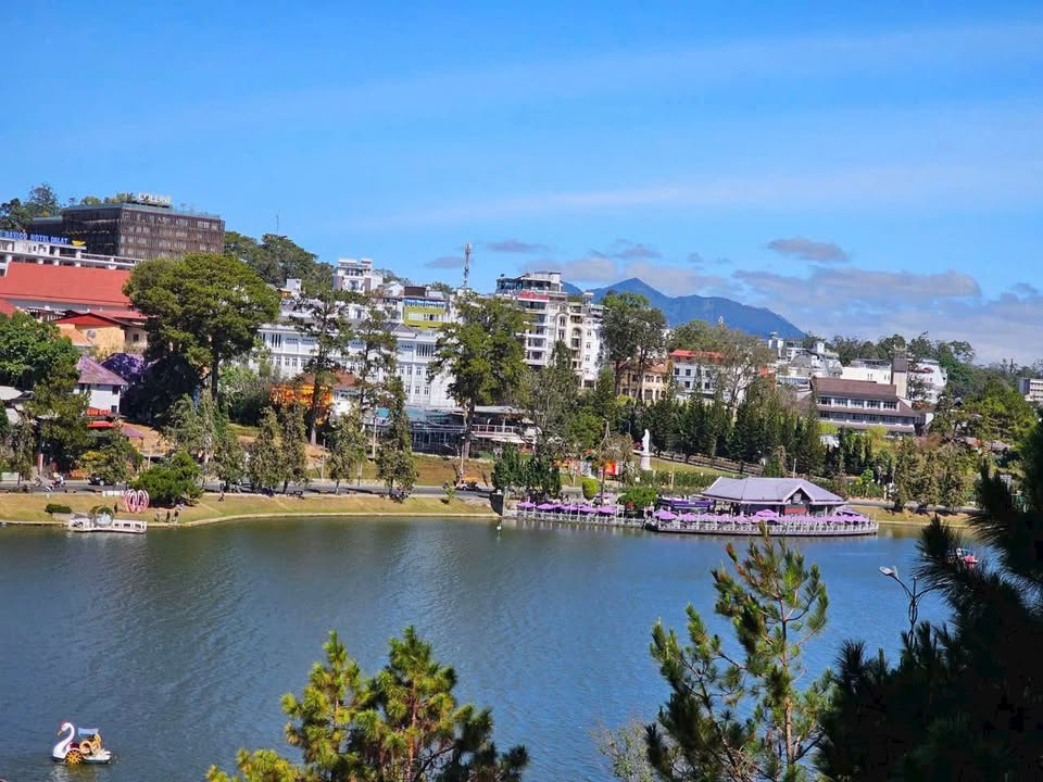 Đất mặt tiền đường Tô Vĩnh Diện, P6 Đà Lạt 1100m² - Đầu tư sinh lời nhanh!