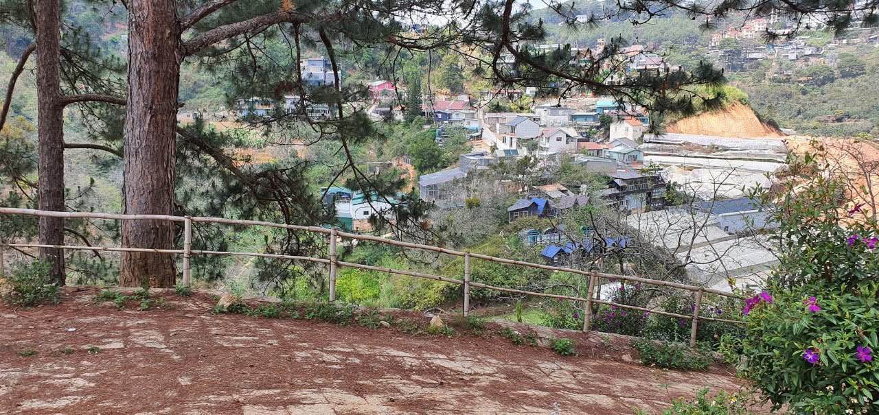 Lô đất nông nghiệp Đà Lạt 1000m² giá 8 tỷ - Sở hữu view đồi thung lũng tuyệt đẹp!