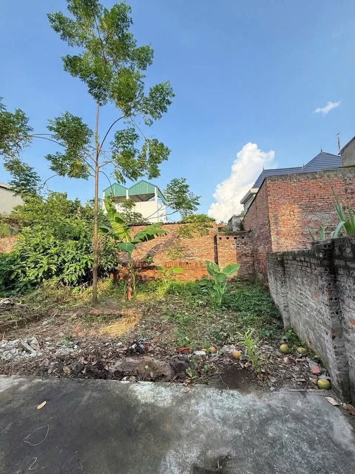 Đất nền Kim Sơn Gia Lâm 54m² giá 2 tỷ - Vị trí đẹp, chính chủ!