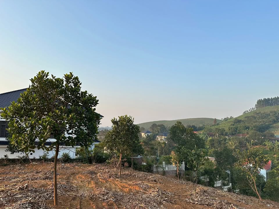 Đất nghỉ dưỡng Ba Vì 2000m² giá 2 tỷ - Thế đất cao view thung lũng