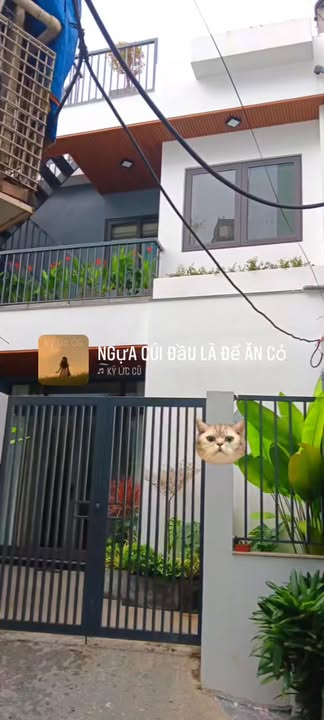 Nhà riêng đường Hoàng Diệu, quận Ba Đình, 80m² giá 5 tỷ - Không gian thoáng đãng hiếm có!