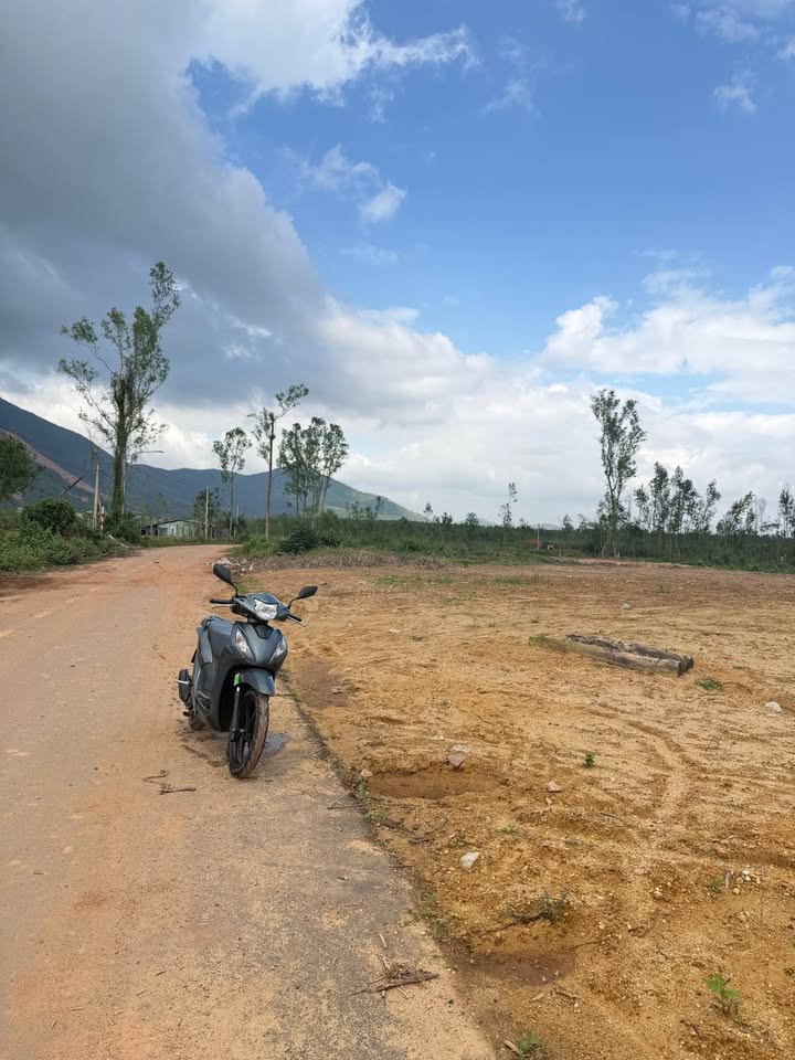 Đất mặt tiền Nhơn Tân, An Nhơn 150m² giá chỉ 300 triệu - Đầu tư sinh lời ngay!