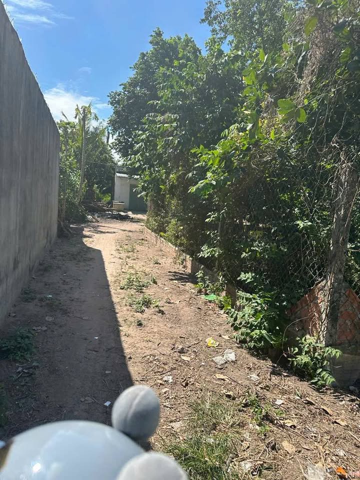 Đất thổ cư 115m² tại Thanh Phước, Gò Dầu - Giá chỉ 400 triệu - Sổ đỏ chính chủ!