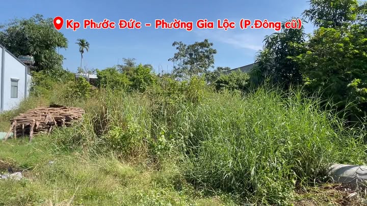 Đất xây trọ Gò Dầu 319m² giá 1.75 tỷ - Đầu tư sinh lời ngay!