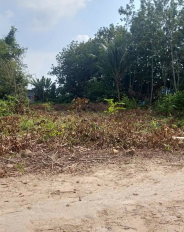 Đất thổ cư Đôn Thuận, Trảng Bàng 675m² giá 6.75 tỷ - Đầu tư sinh lời hấp dẫn!