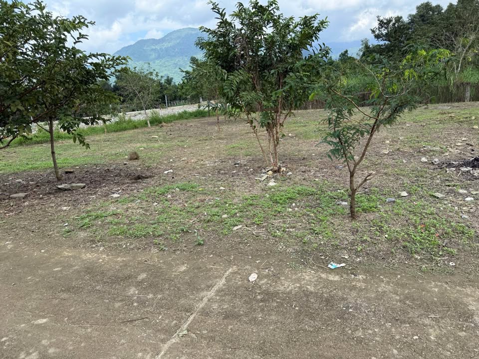 Đất thổ cư Diên Đồng 117m² giá chỉ 250 triệu - Cơ hội đầu tư tuyệt vời!