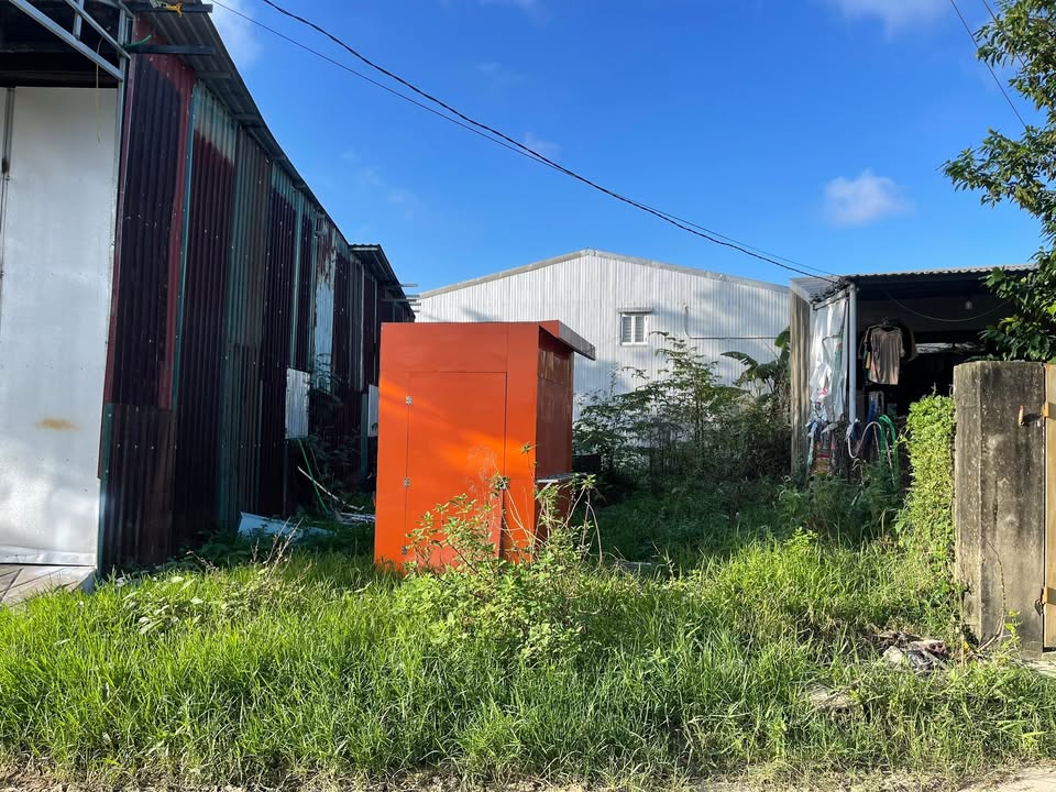 Đất nền mặt tiền trục chính Dưỡng Mong, Phú Mỹ 115m² giá 2.3 tỷ - Cơ hội đầu tư sinh lời!