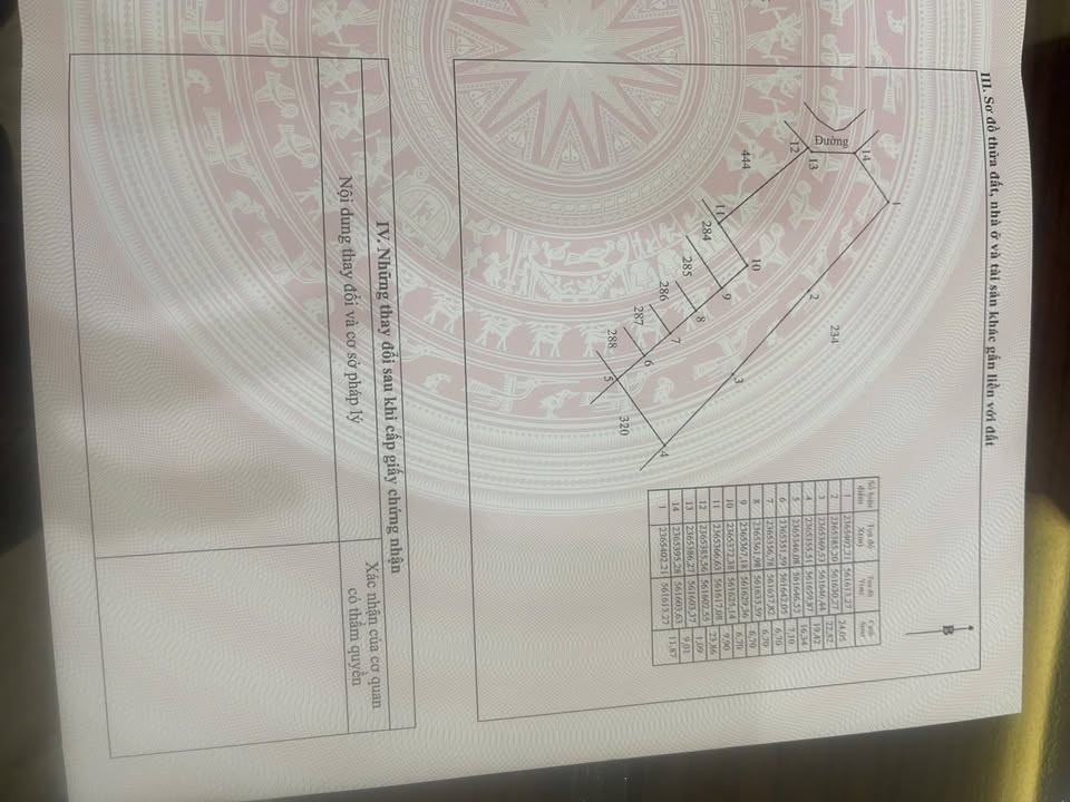 Lô đất vườn 1200m² tại Kim Long, Tam Dương chỉ 1.65 tỷ - Đầu tư sinh lời ngay!