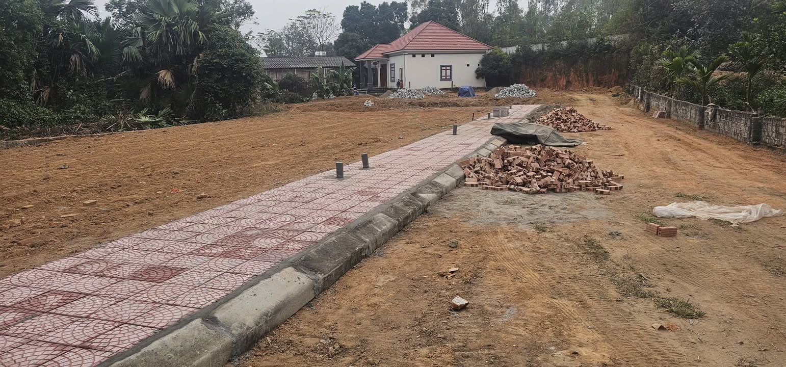 Đất nền KCN Tam Dương 118m² giá 600 triệu - Cơ hội đầu tư hấp dẫn!