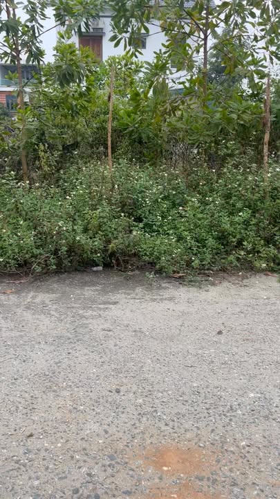 Đất nền Âu Cơ Phú Thọ 204m² giá 4 tỷ - Đầu tư sinh lời tuyệt vời!