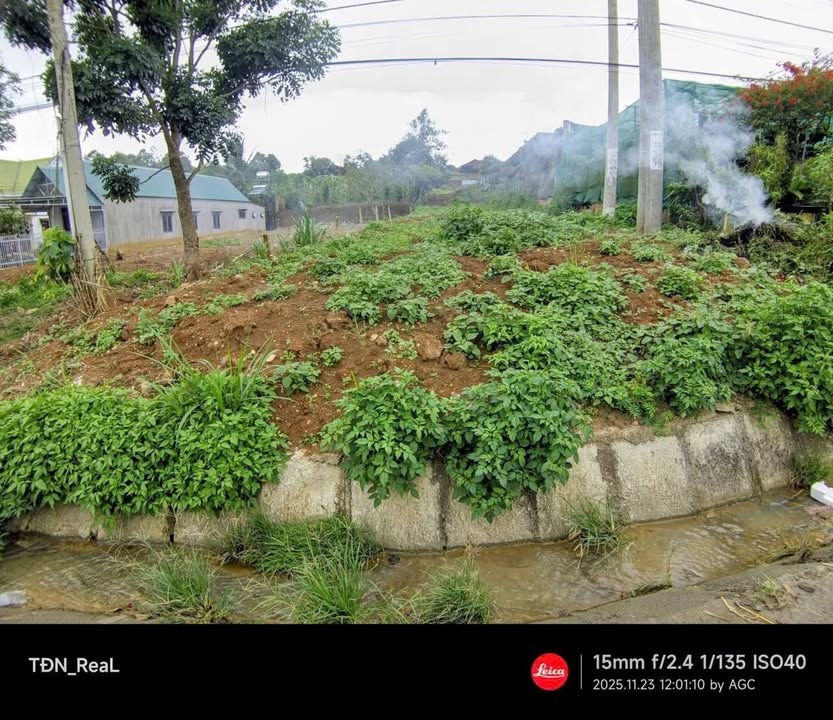 Đất nền thương mại Quốc lộ 20, Đức Trọng, 520m² giá 4.2 tỷ - Cơ hội đầu tư sinh lời!