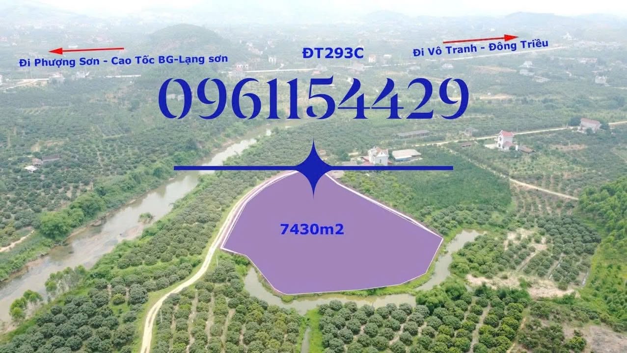 Đất nền Phượng Sơn, Bắc Ninh 7300m² giá 2.772 tỷ - Pháp lý rõ ràng, vị trí đẹp!