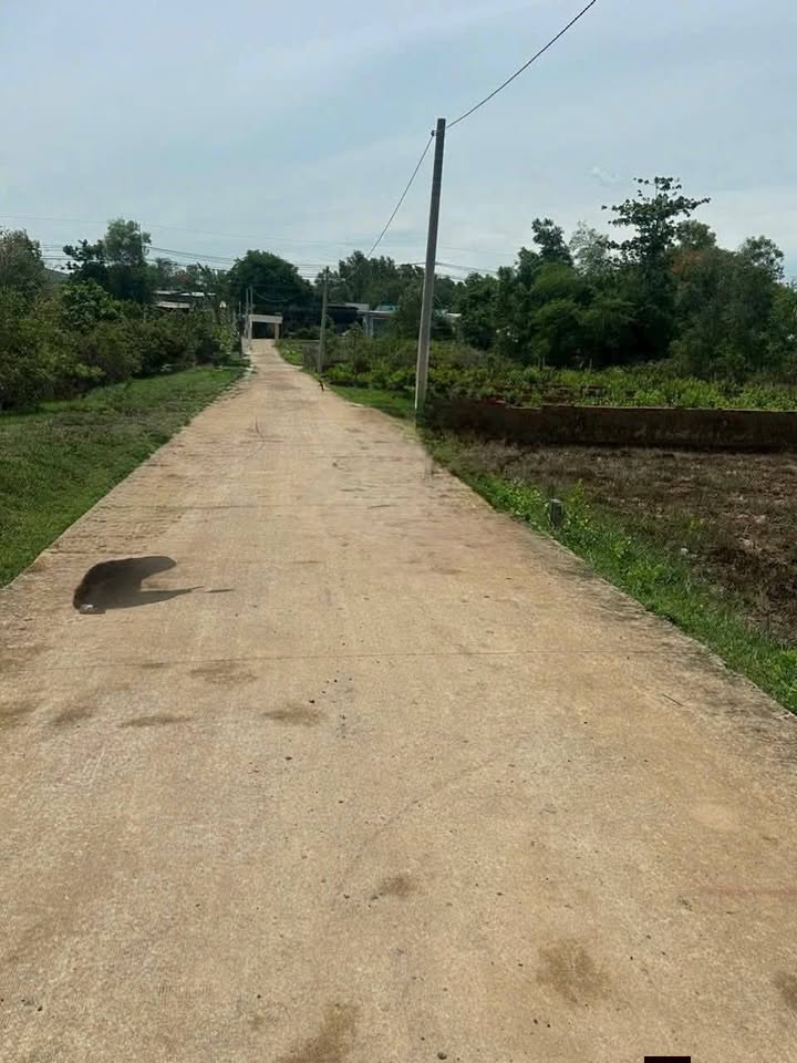 Đất nền Huyện Nhơn Trạch 115m² giá 2.07 tỷ - Cơ hội đầu tư tuyệt vời!