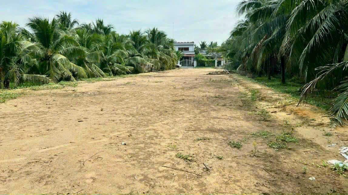 Bán đất mặt tiền đường Nguyễn Thị Định, Phú Khương, Bến Tre 1.023m² - Cơ hội đầu tư tuyệt vời!