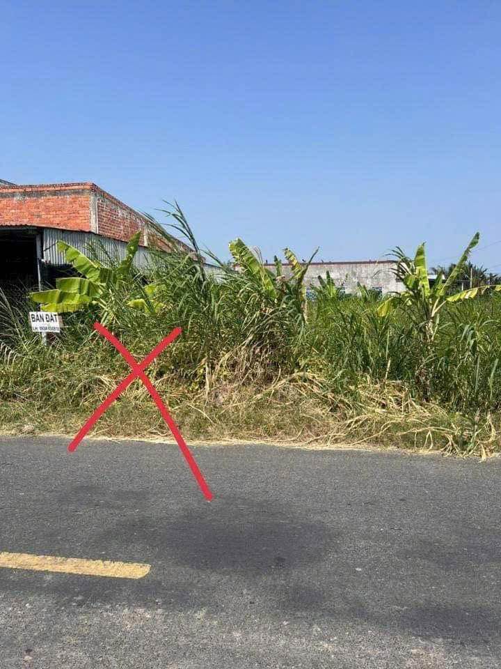 Đất mặt tiền Mỹ An, Thạnh Phú 93m² - Chính chủ bán gấp, giá chỉ 350 triệu!
