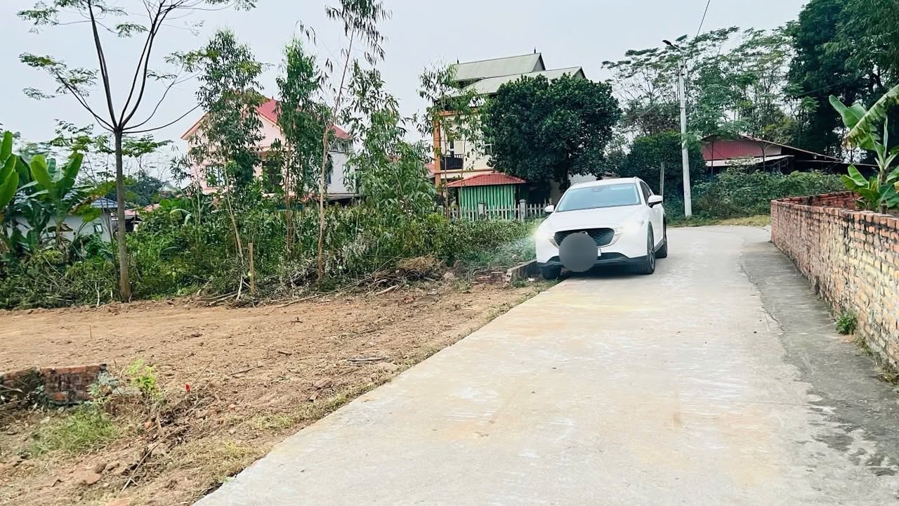 Lô đất đẹp Thanh Vân, Tam Dương 115m² giá 1.05 tỷ - Đầu tư sinh lời ngay!