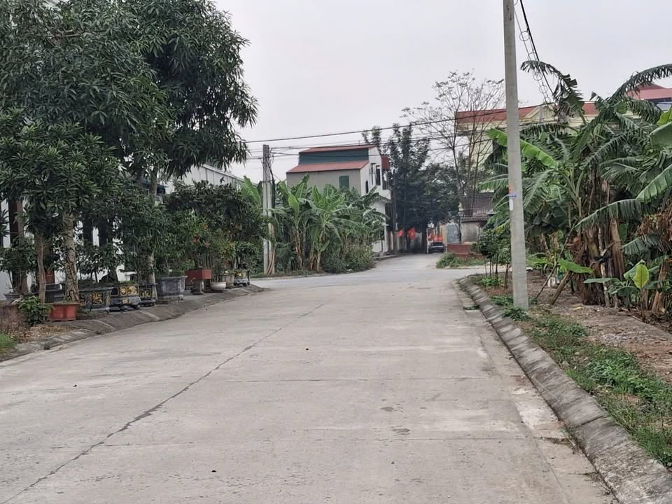 Đất nền Ninh Tiến 99m² giá 4 tỷ - Vị trí đắc địa gần Nhà thờ Cổ Loan!