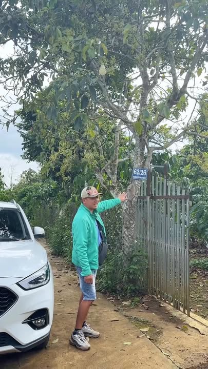 Đất nền B'Lao, Bảo Lộc 111600m² giá 7.5 tỷ - Cơ hội đầu tư tuyệt vời!