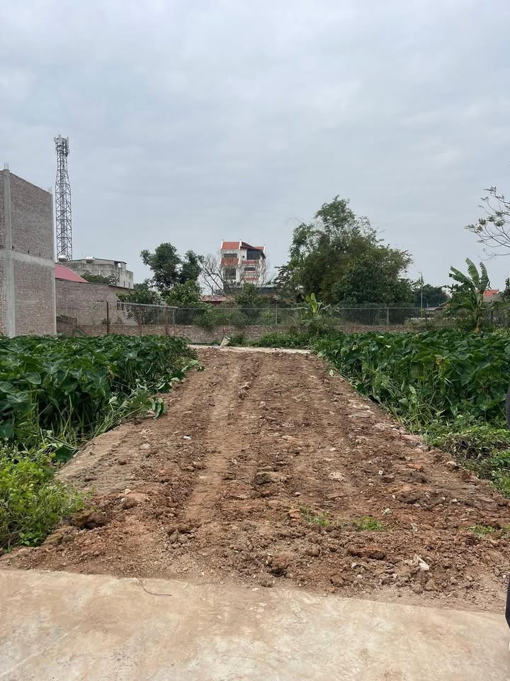 Đất thổ cư Xuân Lai, Gia Bình 99m² giá 1.896 tỷ - Cơ hội đầu tư tuyệt vời!