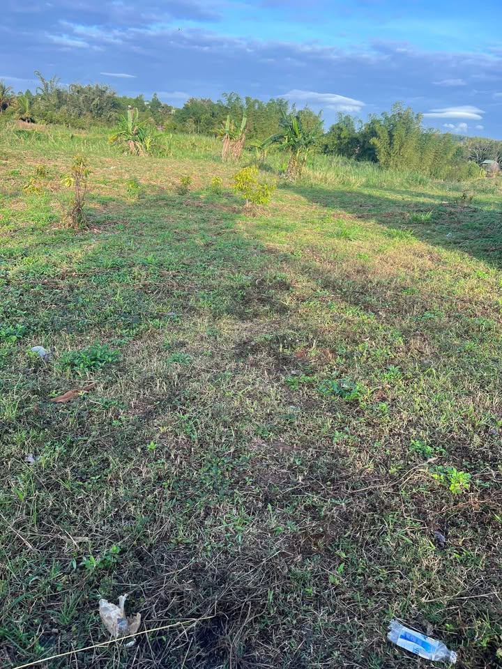 Đất nền 4.3ha tại xã Ea Khăl - Giá chỉ 399 triệu - Sổ đỏ chính chủ!