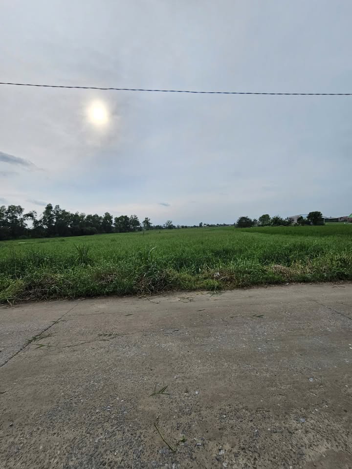 Đất nền xã Đức Hòa Thượng 1250m² giá 6 tỷ - Đường bê tông thông thoáng!