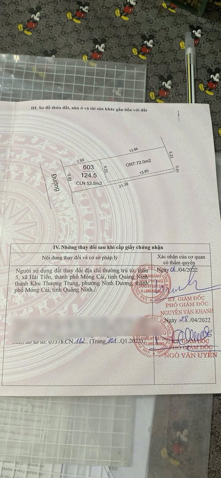 Đất nền Nghĩa Hòa, Tư Nghĩa 124m² - Đầu tư sinh lời tuyệt vời!